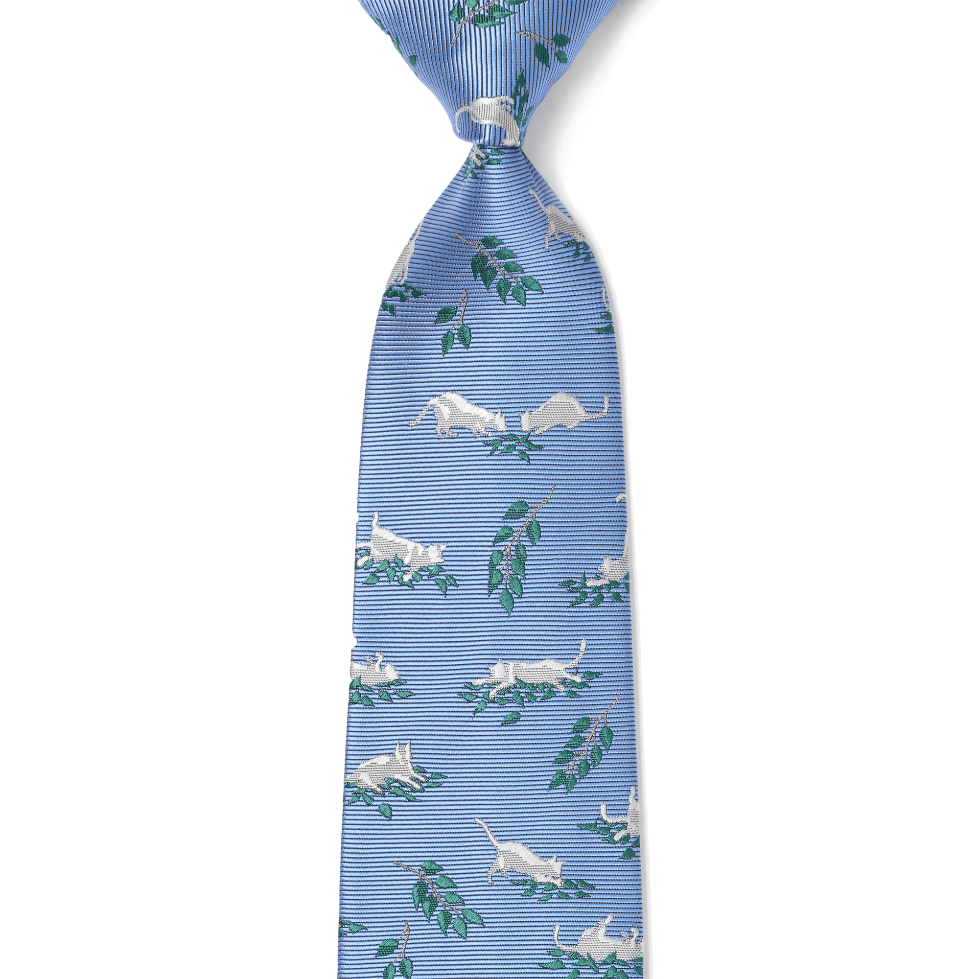 ネコとマタタビ