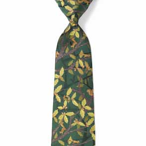 リスとドングリ