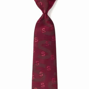 イニシャルタイS