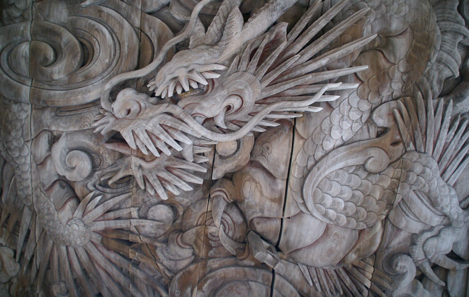 龍のイメージ写真